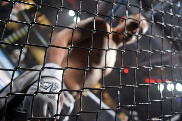 Hasil UFC 331: Joshua Van Menang Angka Mutlak, Pertahankan Sabuk Flyweight dari Pantoja