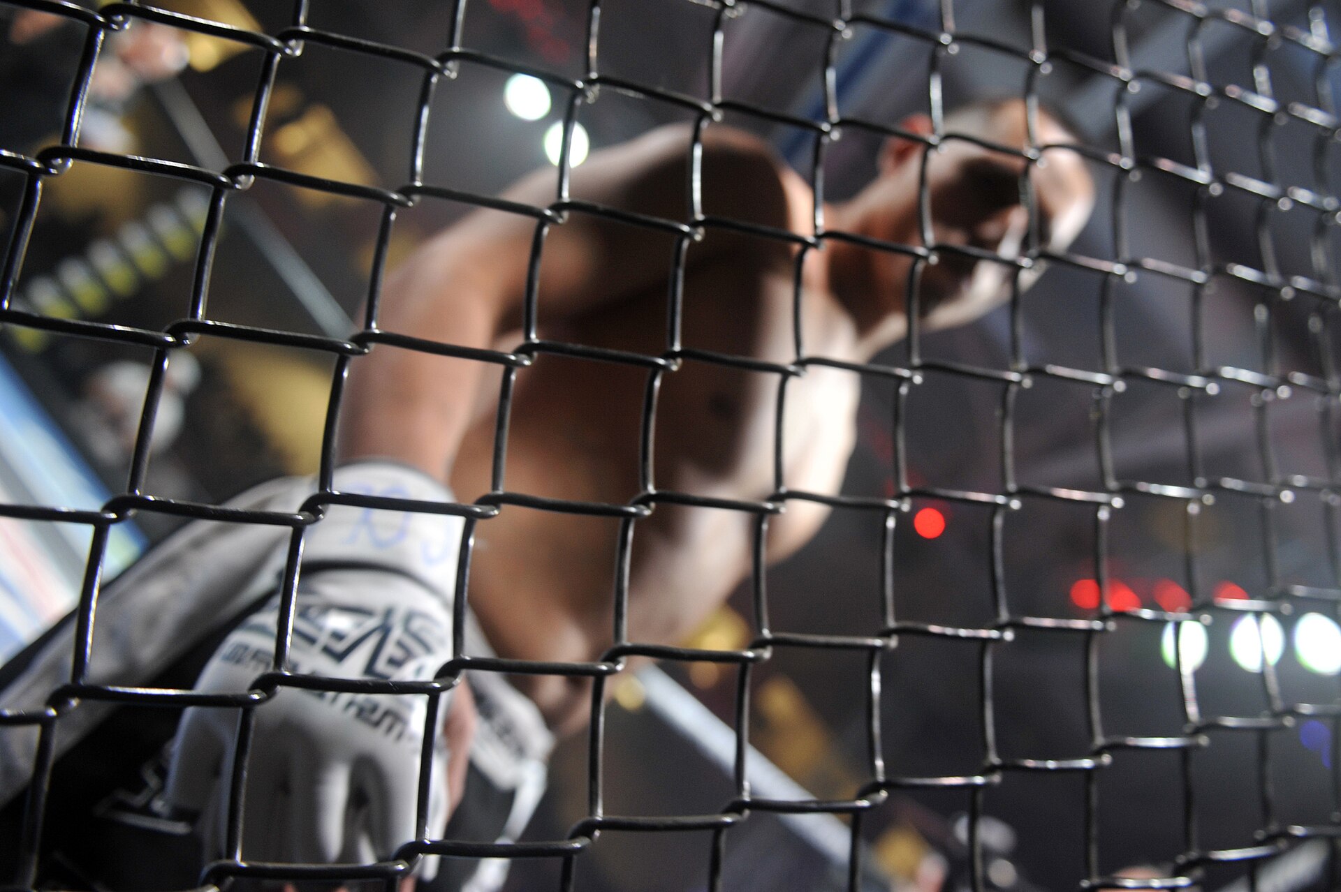 Hasil UFC 331: Joshua Van Menang Angka Mutlak, Pertahankan Sabuk Flyweight dari Pantoja