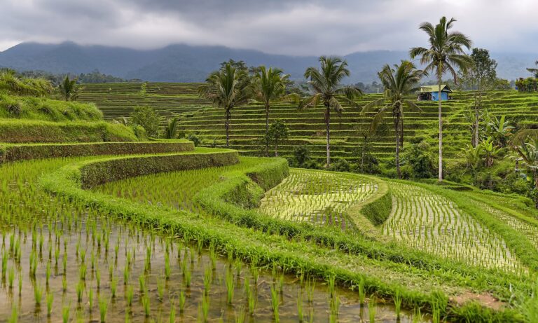 Liburan yang Bikin Sehat: Ngintip Demam Wellness Tourism